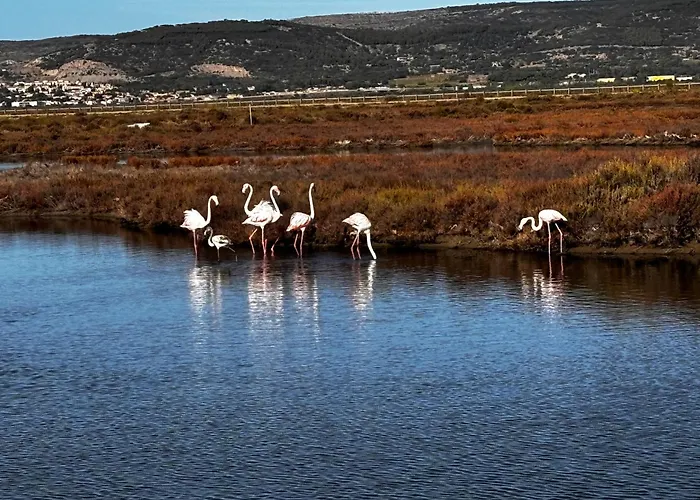 Dom wakacyjny Maison 3 Bord De - Bel Exterieur *